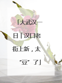 大武汉一日︱汉口老街上新，太“豆”了