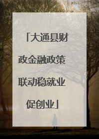 大通县财政金融政策联动稳就业促创业