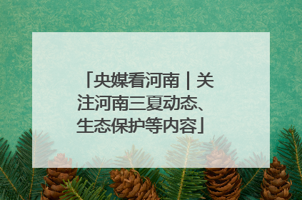 央媒看河南｜关注河南三夏动态、生态保护等内容