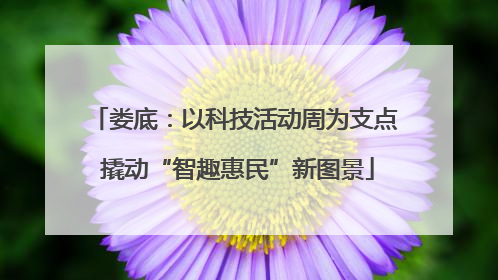 娄底：以科技活动周为支点 撬动“智趣惠民”新图景