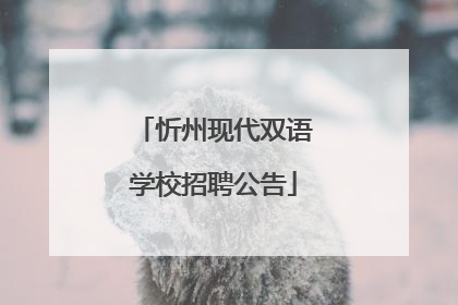 忻州现代双语学校招聘公告
