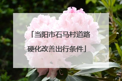 当阳市石马村道路硬化改善出行条件