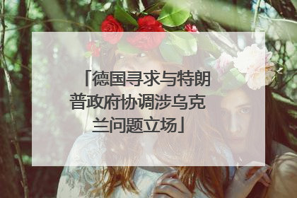 德国寻求与特朗普政府协调涉乌克兰问题立场