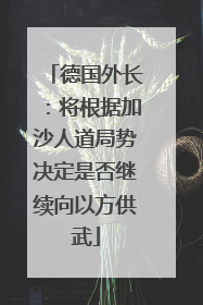 德国外长：将根据加沙人道局势决定是否继续向以方供武