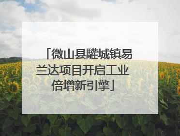 微山县驩城镇易兰达项目开启工业倍增新引擎