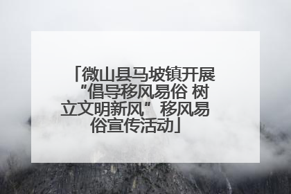 微山县马坡镇开展“倡导移风易俗 树立文明新风”移风易俗宣传活动