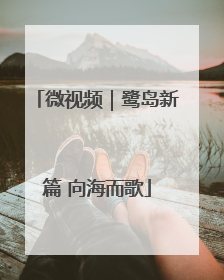 微视频｜鹭岛新篇 向海而歌