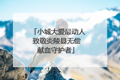 小城大爱最动人 致敬炎陵县无偿献血守护者
