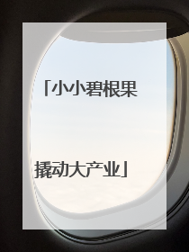 小小碧根果撬动大产业