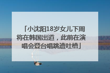 小沈阳18岁女儿下周将在韩国出道，此前在演唱会登台唱跳遭吐槽