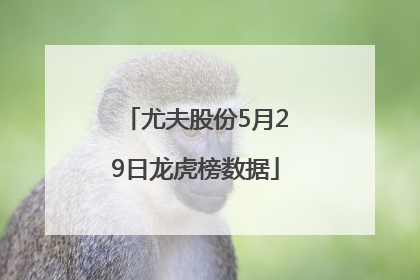 尤夫股份5月29日龙虎榜数据