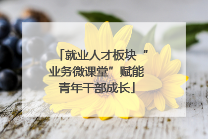 就业人才板块“业务微课堂”赋能青年干部成长