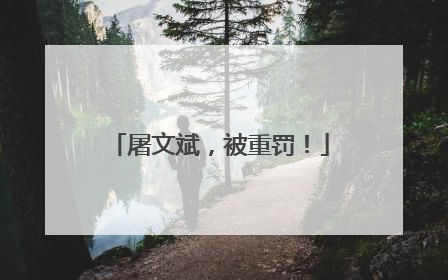 屠文斌，被重罚！