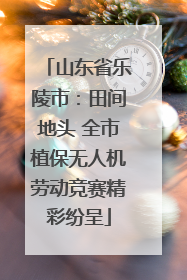 山东省乐陵市：田间地头 全市植保无人机劳动竞赛精彩纷呈