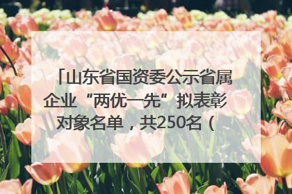 山东省国资委公示省属企业“两优一先”拟表彰对象名单，共250名（个）党员和党组织