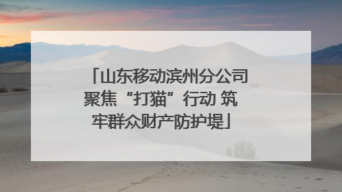 山东移动滨州分公司聚焦“打猫”行动 筑牢群众财产防护堤