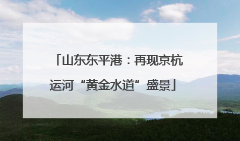 山东东平港：再现京杭运河“黄金水道”盛景