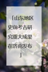 山东地区史前考古研究重大成果在济南发布