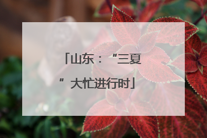 山东：“三夏”大忙进行时