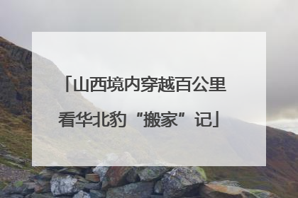 山西境内穿越百公里 看华北豹“搬家”记