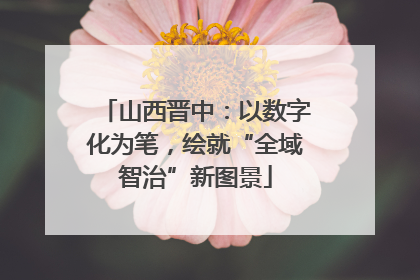山西晋中：以数字化为笔，绘就“全域智治”新图景
