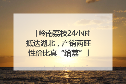 岭南荔枝24小时抵达湖北，产销两旺性价比真“给荔”