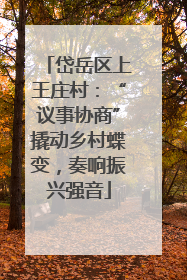 岱岳区上王庄村：“议事协商”撬动乡村蝶变，奏响振兴强音