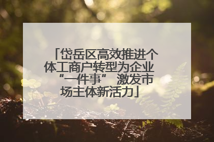 岱岳区高效推进个体工商户转型为企业“一件事” 激发市场主体新活力
