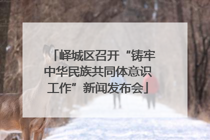 峄城区召开“铸牢中华民族共同体意识工作”新闻发布会