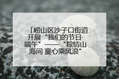 崂山区沙子口街道开展“我们的节日·端午”——“粽情山海间 童心乘风浪”文明实践活动