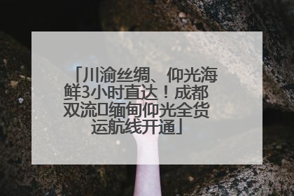 川渝丝绸、仰光海鲜3小时直达！成都双流⇌缅甸仰光全货运航线开通