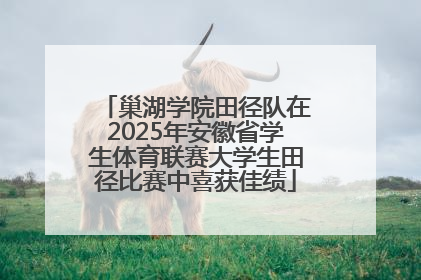 巢湖学院田径队在2025年安徽省学生体育联赛大学生田径比赛中喜获佳绩