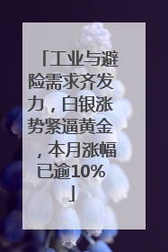 工业与避险需求齐发力，白银涨势紧逼黄金，本月涨幅已逾10%
