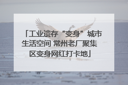 工业遗存“变身”城市生活空间 常州老厂聚集区变身网红打卡地