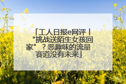 工人日报e网评丨“挑战送陌生女孩回家”？恶趣味的流量赛道没有未来
