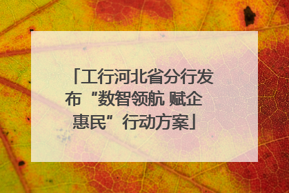 工行河北省分行发布“数智领航 赋企惠民”行动方案