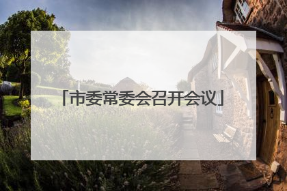 市委常委会召开会议
