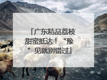 广东精品荔枝甜蜜抵达！“豫”见就别错过