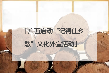 广西启动“记得住乡愁”文化外宣活动