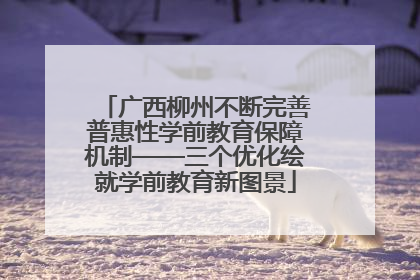 广西柳州不断完善普惠性学前教育保障机制——三个优化绘就学前教育新图景