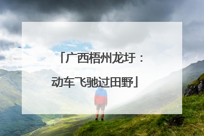 广西梧州龙圩：动车飞驰过田野