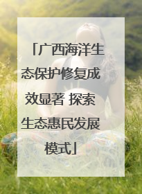 广西海洋生态保护修复成效显著 探索生态惠民发展模式