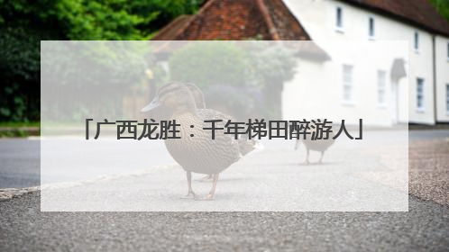 广西龙胜：千年梯田醉游人