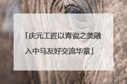 庆元工匠以青瓷之美融入中马友好交流华章