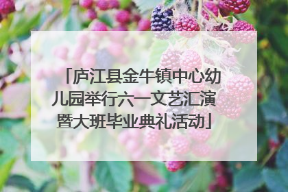 庐江县金牛镇中心幼儿园举行六一文艺汇演暨大班毕业典礼活动