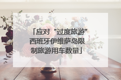 应对“过度旅游” 西班牙伊维萨岛限制旅游用车数量
