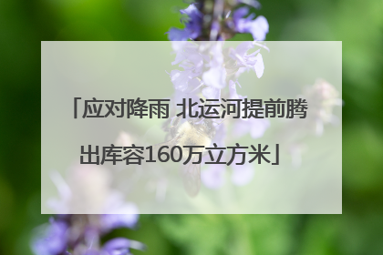 应对降雨 北运河提前腾出库容160万立方米