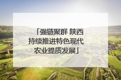 强链聚群 陕西持续推进特色现代农业提质发展