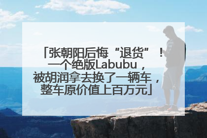 张朝阳后悔“退货”！一个绝版Labubu，被胡润拿去换了一辆车，整车原价值上百万元