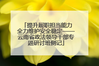 提升履职担当能力 全力维护安全稳定——云南省政法领导干部专题研讨班侧记